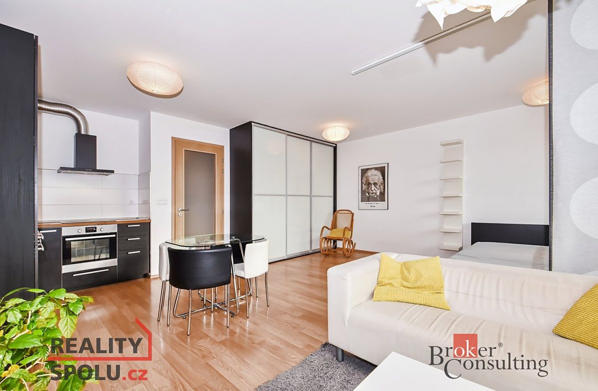 Pronájem bytu 1+kk 49 m²