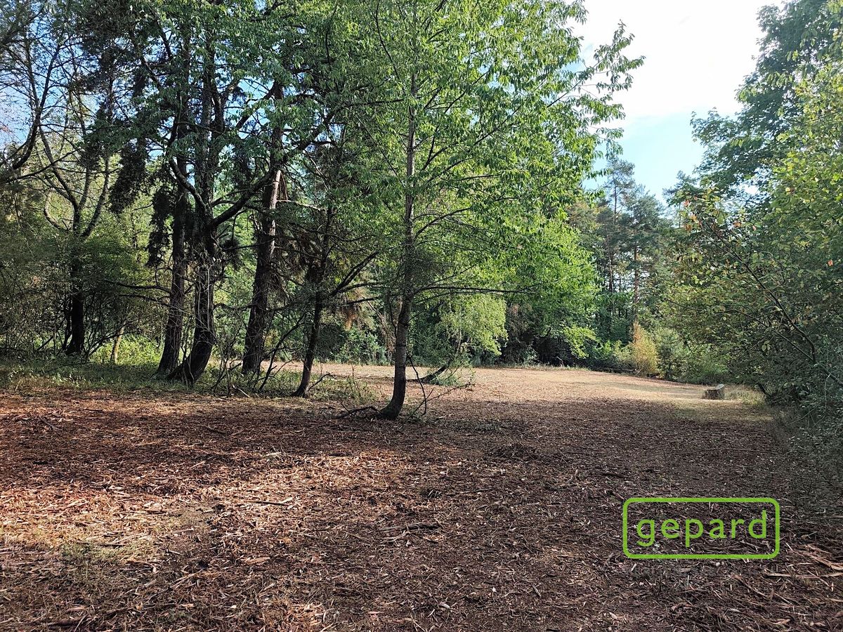 Prodej stavebního pozemku 14307 m² – fotografie 3