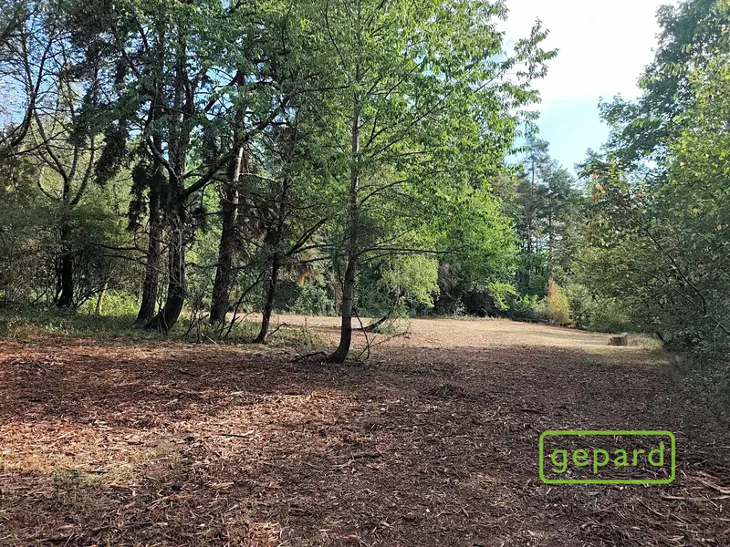 Prodej stavebního pozemku 14307 m², Světlík – náhled fotky 3