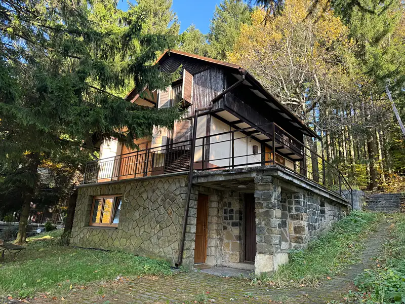Prodej specifického typu nemovitosti 113 m², Lopeník – náhled fotky 1