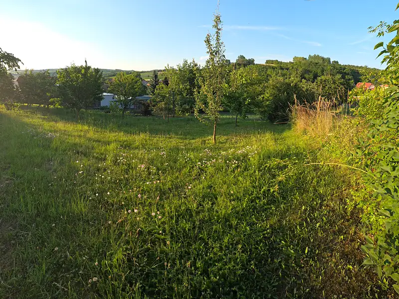 Prodej stavebního pozemku 799 m², Borkovany – náhled fotky 3