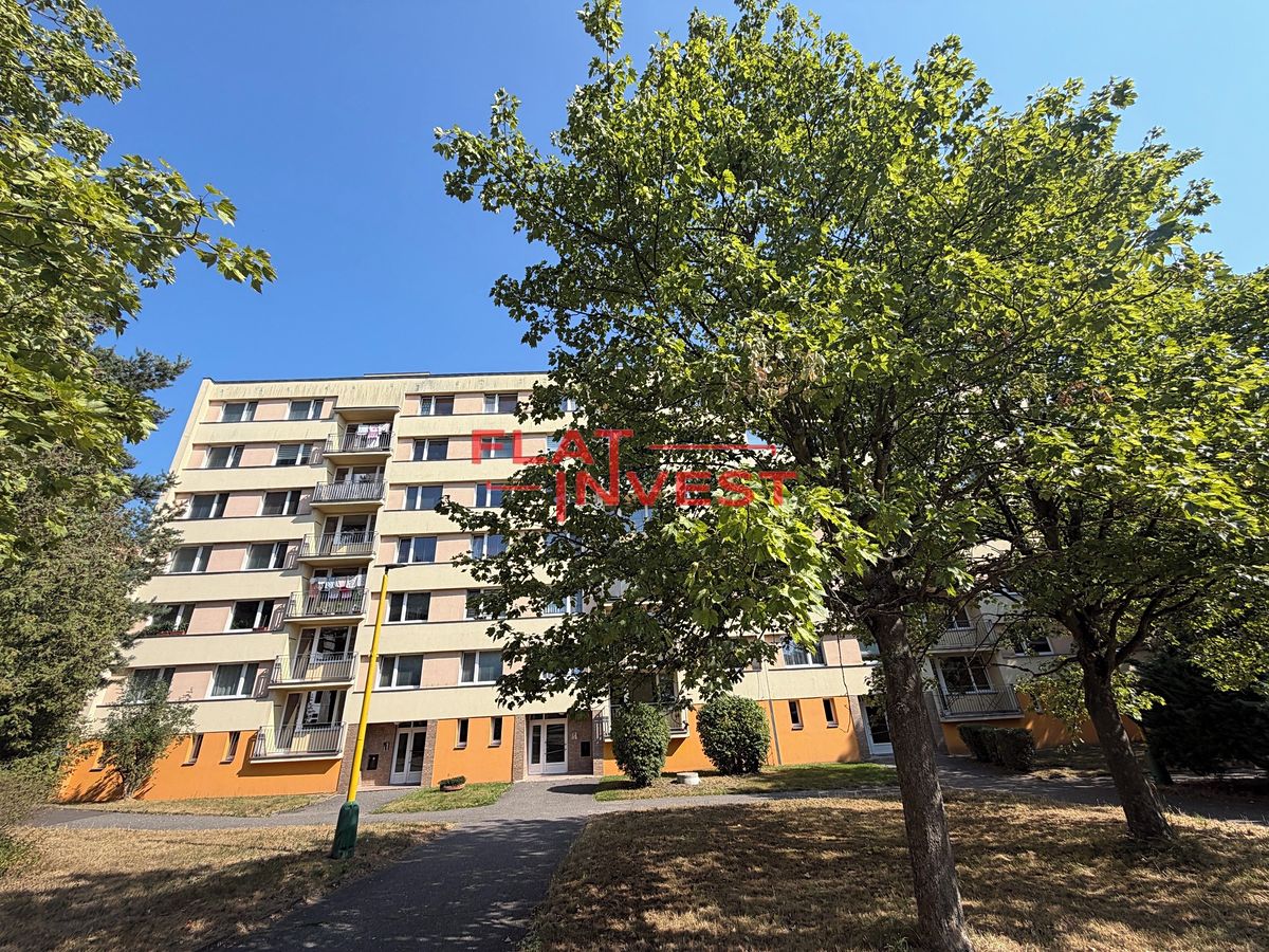 Pronájem bytu 1+1 38 m²