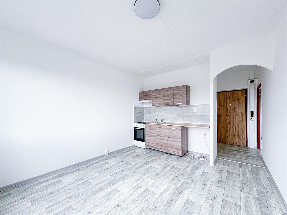 Pronájem bytu 1+1 34 m²