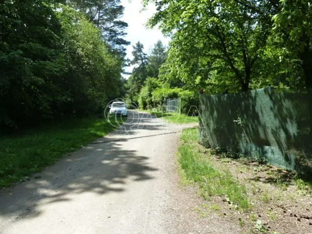 Fotka 9 z 10