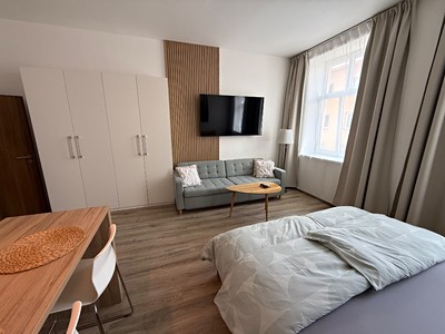 Wohnung 1+kk zur Miete, 40 m² (3 von 11)