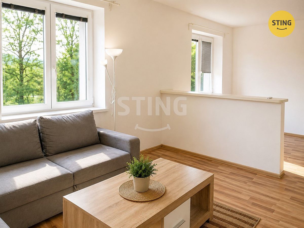Pronájem bytu 1+kk 35 m² – fotografie 3