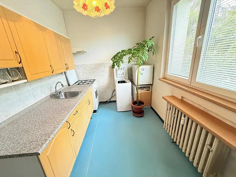 Prodej bytu 2+1 55 m², Praha – náhled fotky 3