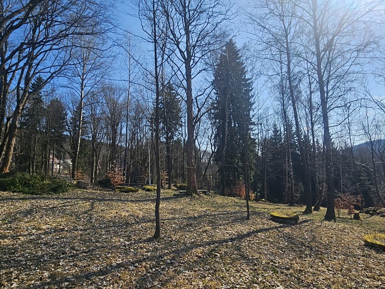 Prodej komerčního prostoru, 635 m² (6 z 28)