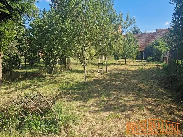 Fotka 10 z 15