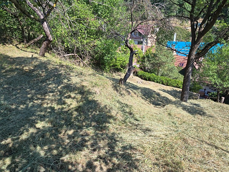 Ostatní