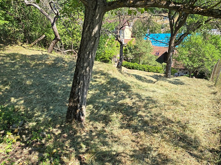 Ostatní