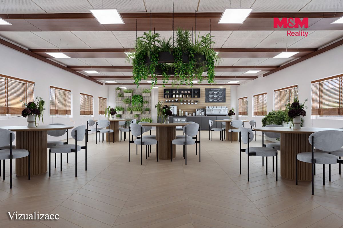 Pronájem obchodního prostoru 9439 m² – fotografie 5