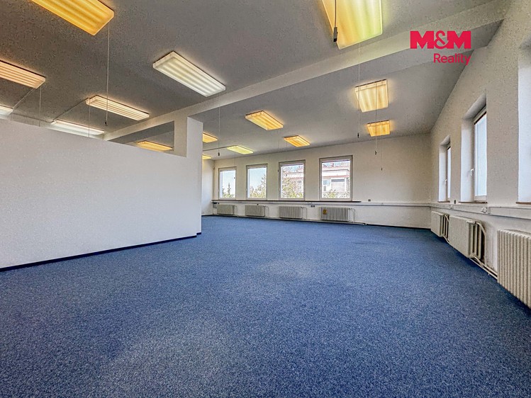 Pronájem komerčního prostoru, 311 m² (3 z 19)