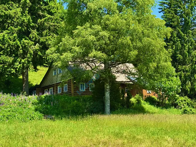 Prodej chalupy 158 m², pozemek 11957 m², Malá Úpa – náhled fotky 3