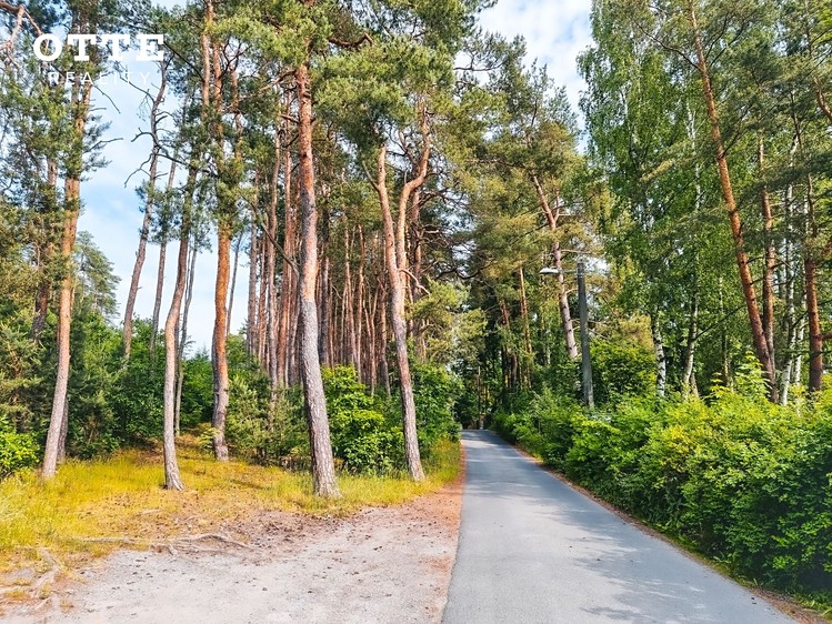 Ділянка на продаж, 850 м² (6 з 33)