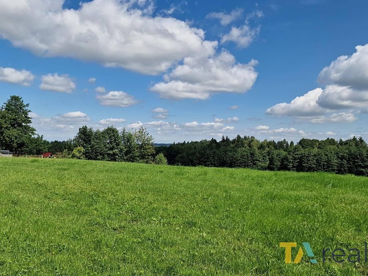 Prodej pozemku, 1 440 m² (5 z 8)