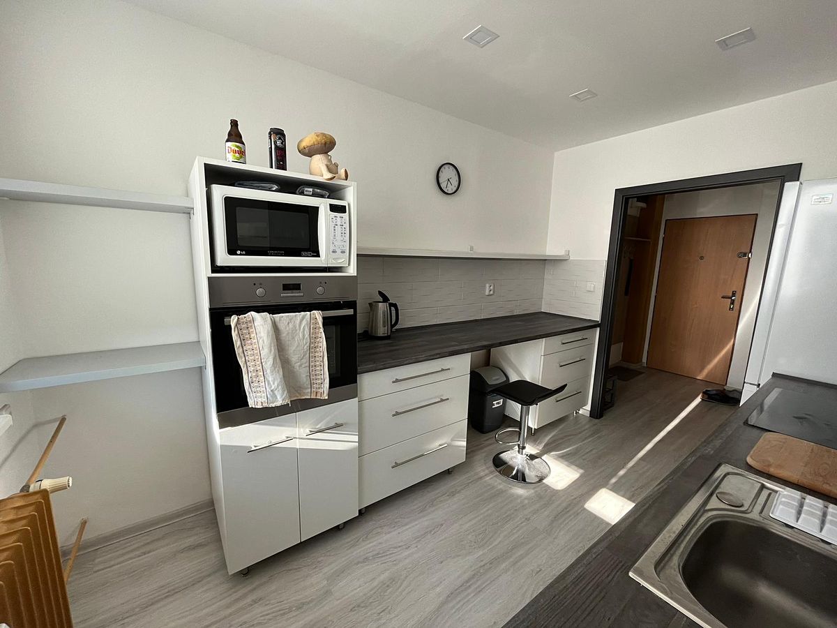 Pronájem bytu 2+1 60 m² – fotografie 3