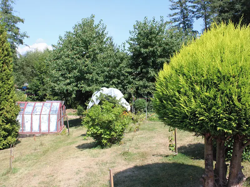 Prodej zahrady 506 m², Těšovice – náhled fotky 3