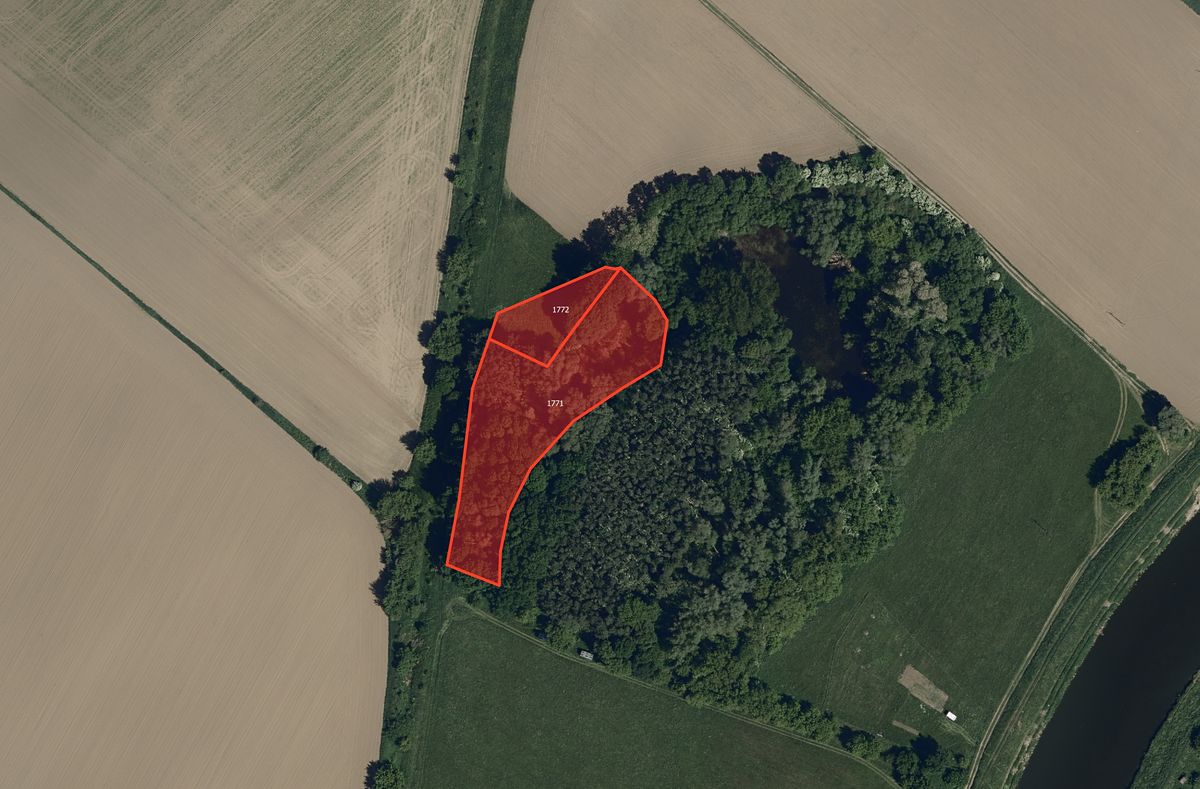 Prodej lesa 6378 m²