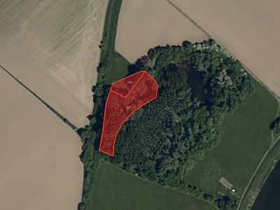 Prodej  lesa 6 378 m²