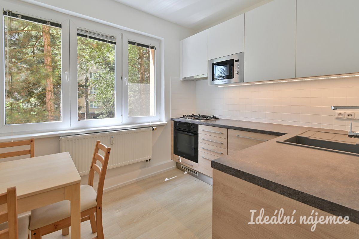 Pronájem bytu 3+1 102 m²