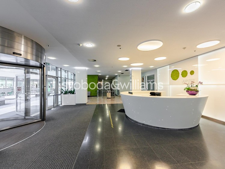 Pronájem komerčního prostoru, 898 m² (11 z 14)