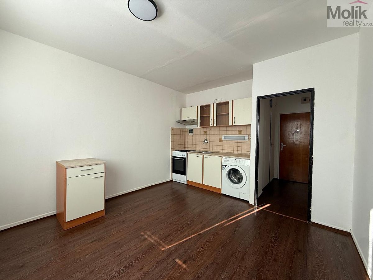 Pronájem bytu 1+1 35 m²
