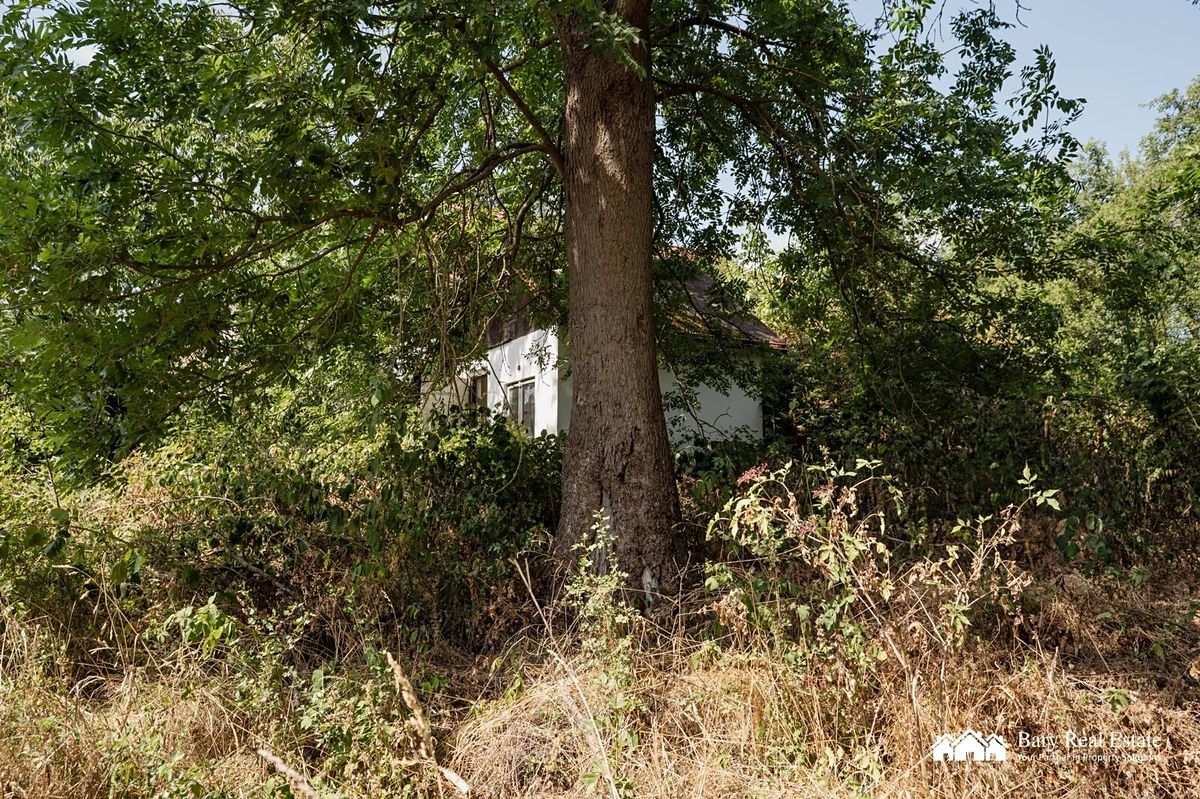 Prodej zahrady 203 m² – fotografie 4