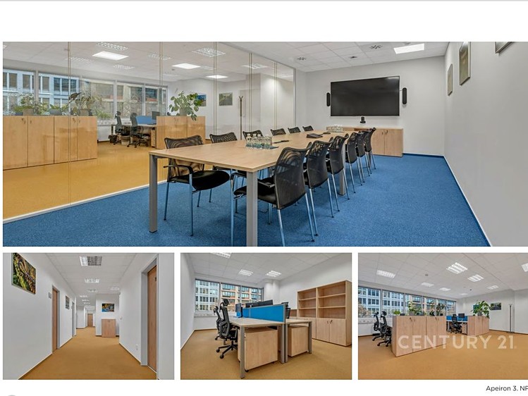 Pronájem komerčního prostoru, 497 m² (8 z 10)
