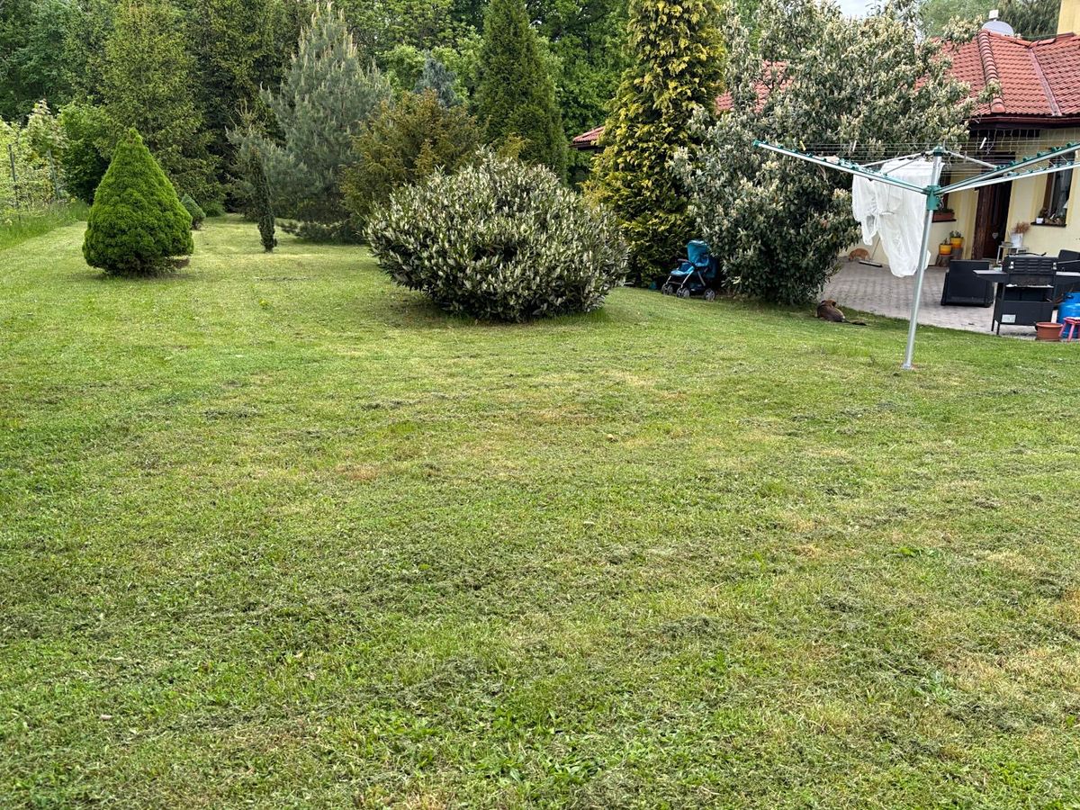 Prodej rodinného domu 140 m², pozemek 10000 m² – fotografie 5