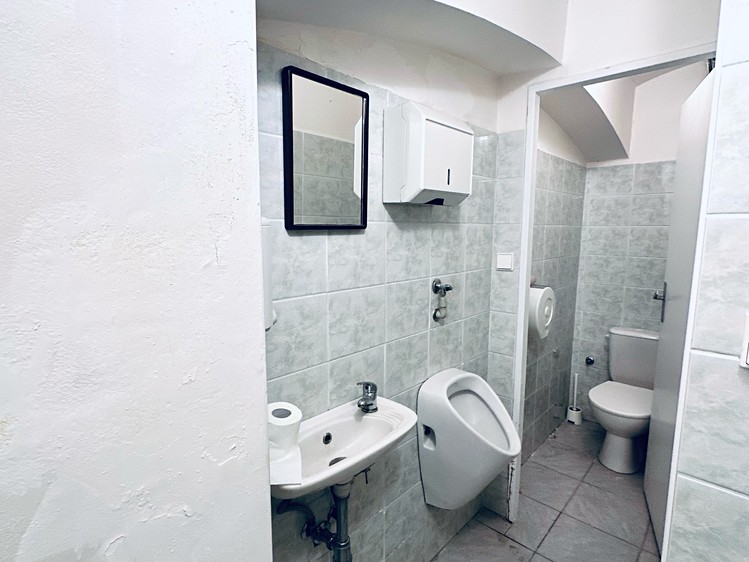 Prodej komerčního prostoru, 270 m² (76 z 80)