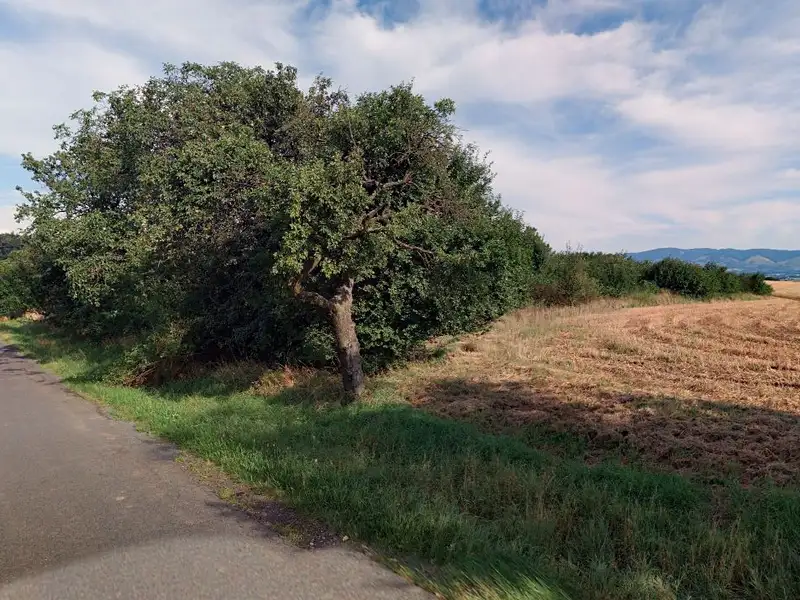 Prodej zahrady 1655 m², Horní Nětčice – náhled fotky 2