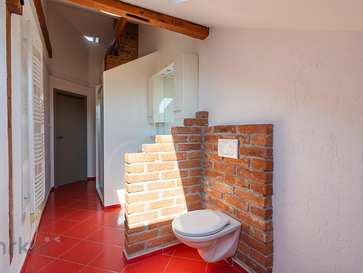 Prodej bytu atypical, 280 m² (20 z 46)