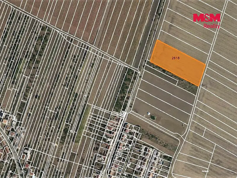 Prodej pole 5315 m², Šakvice – náhled fotky 3