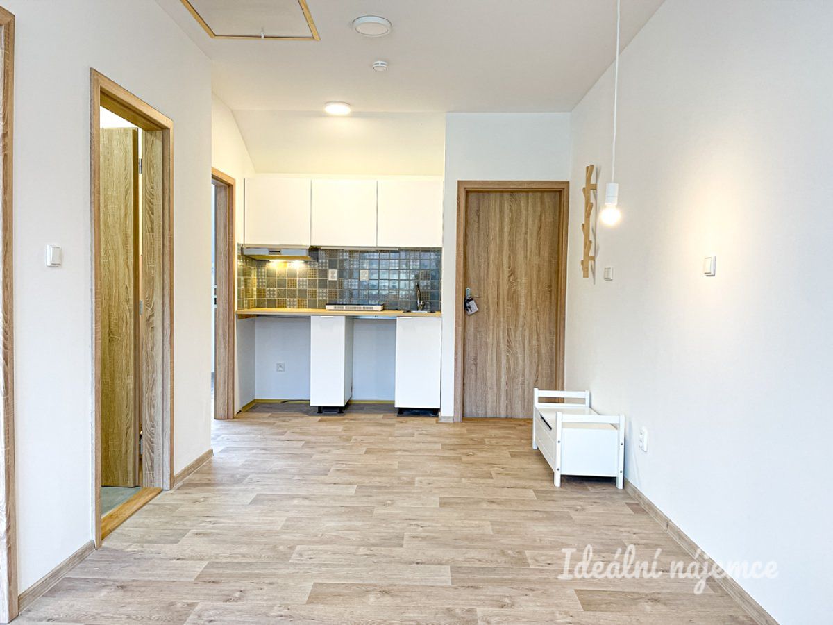 Pronájem bytu 3+kk 36 m²