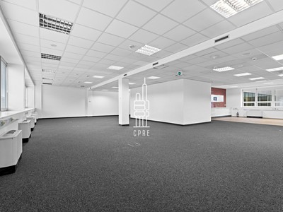 Pronájem komerčního prostoru, 342 m² (2 z 10)