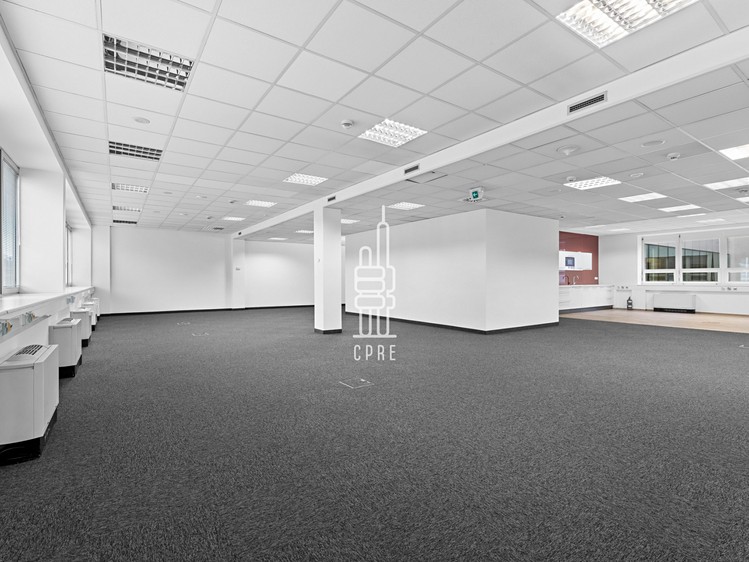 Pronájem komerčního prostoru, 342 m² (2 z 10)