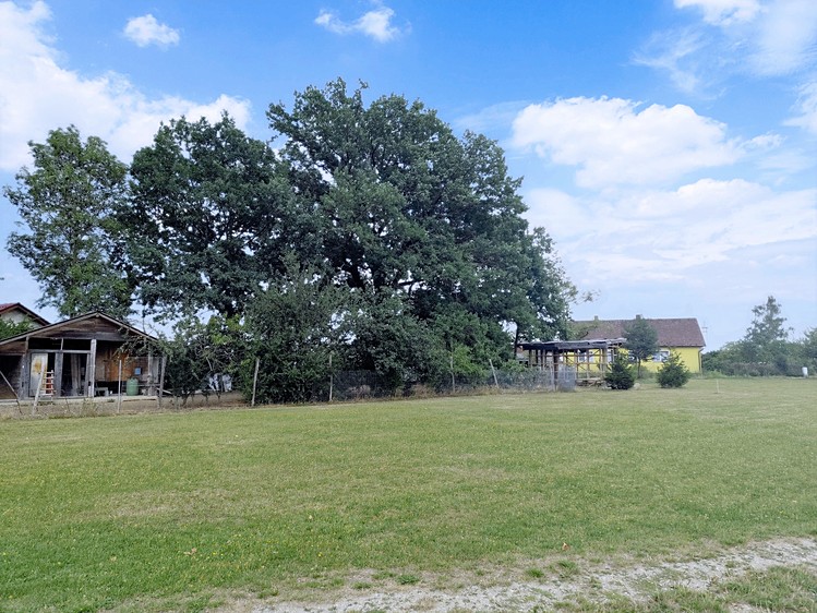 Grundstück zum Kauf, 800 m² (1 von 4)