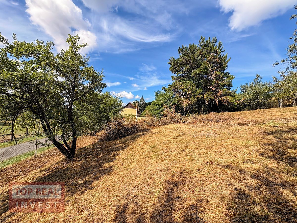 Prodej stavebního pozemku 1260 m² – fotografie 3
