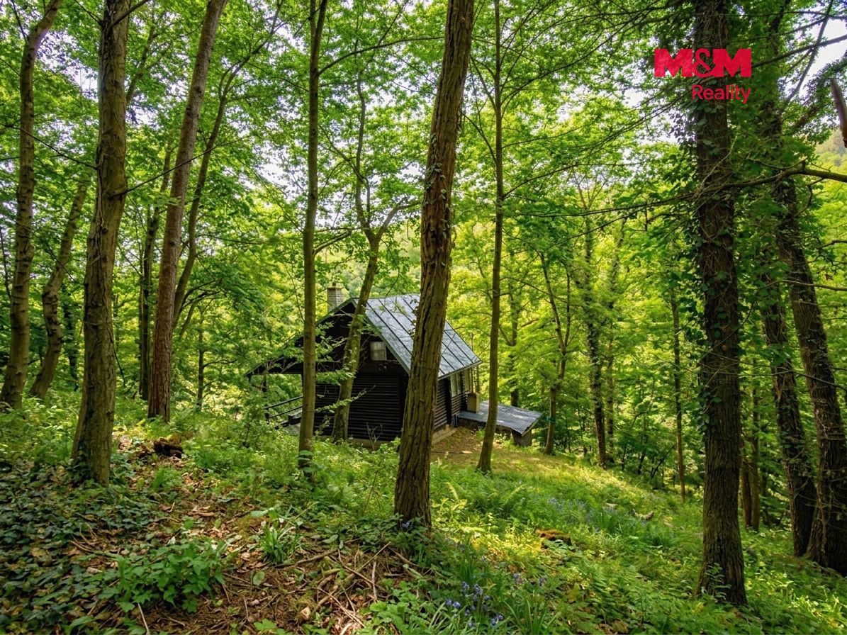 Prodej chaty 70 m², pozemek 38 m² – fotografie 3