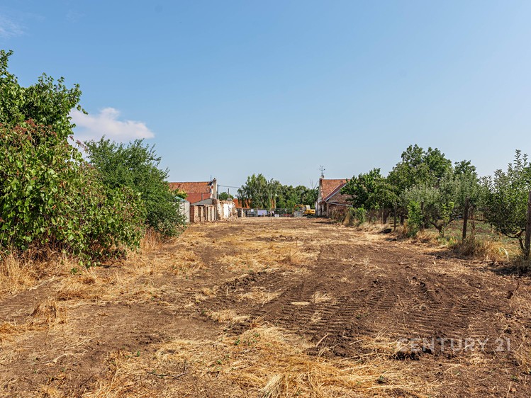 Ostatní