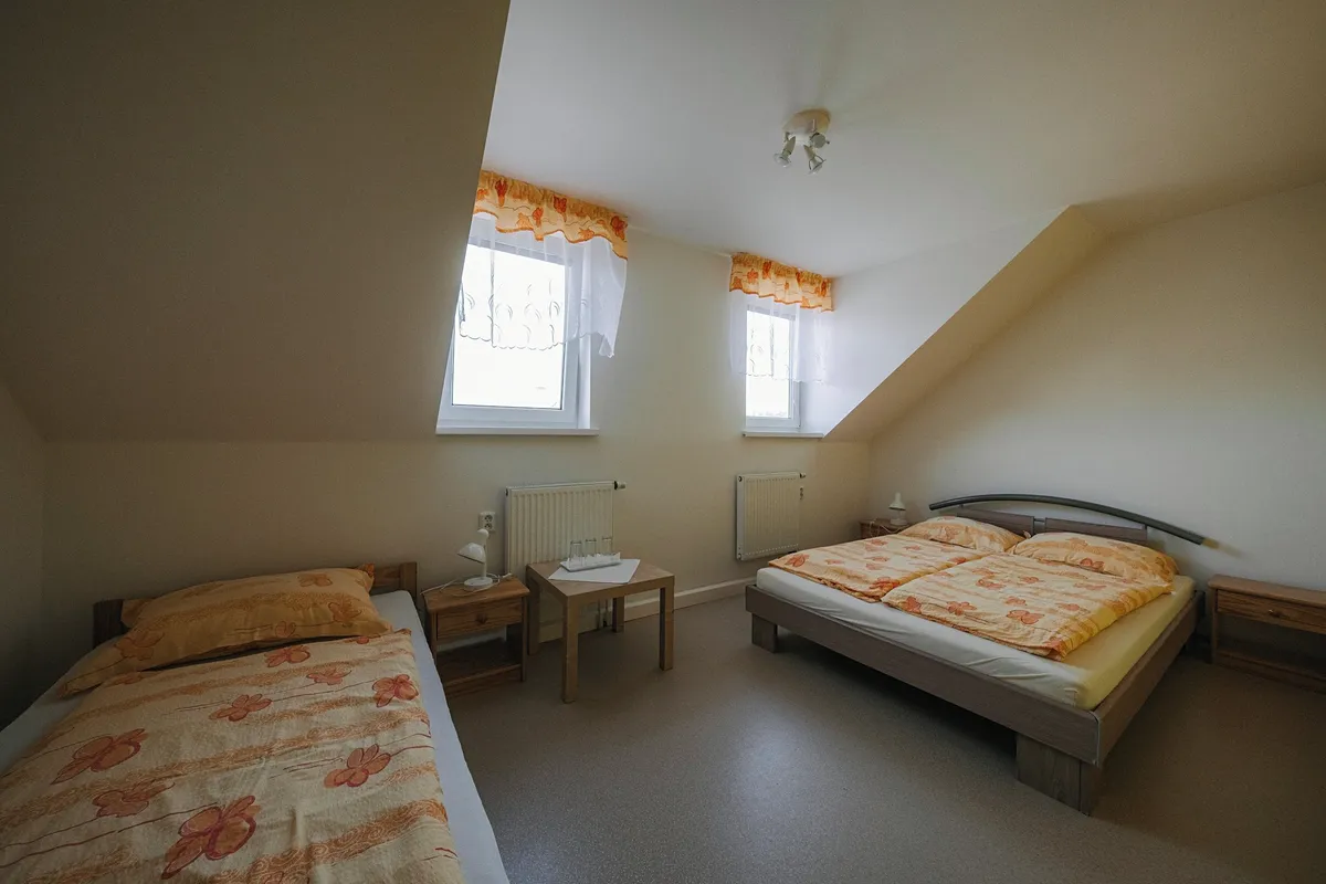 Prodej rodinného domu 280 m², pozemek 8138 m² — fotografie 18