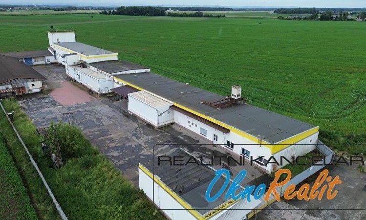 Pronájem komerčního prostoru, 200 m² (7 z 50)