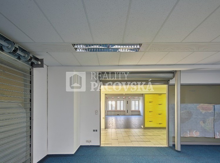 Pronájem komerčního prostoru, 52 m² (3 z 10)