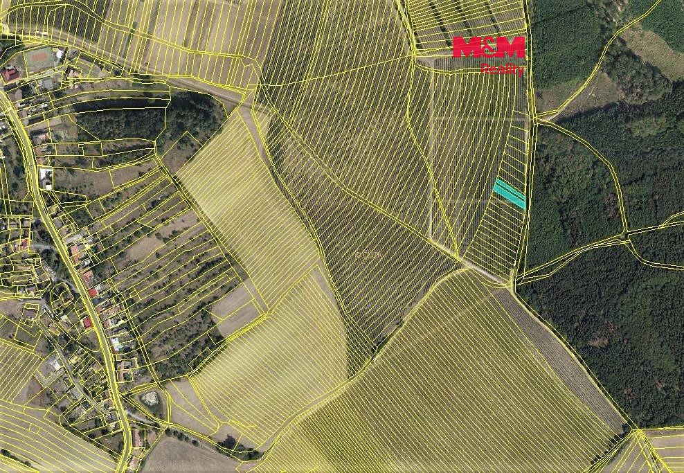Prodej sadu, vinice 323 m², Nechvalín – fotka 1 z 3