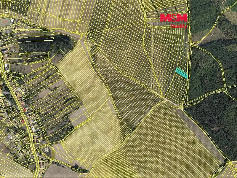 Prodej sadu, vinice 323 m², Nechvalín – náhled fotky 1