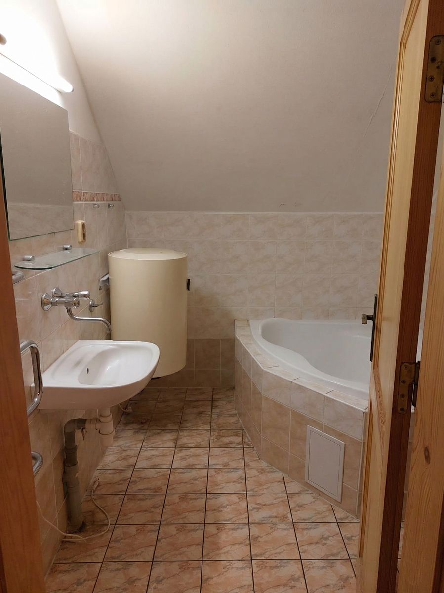Prodej rodinného domu 250 m², pozemek 8374 m² – fotografie 4