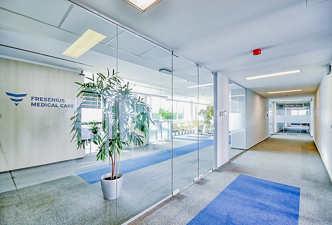 Pronájem kanceláře 289 m² – fotografie 4