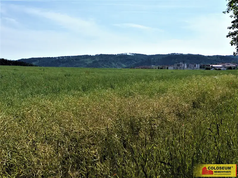 Prodej pole 7225 m², Letovice – náhled fotky 2