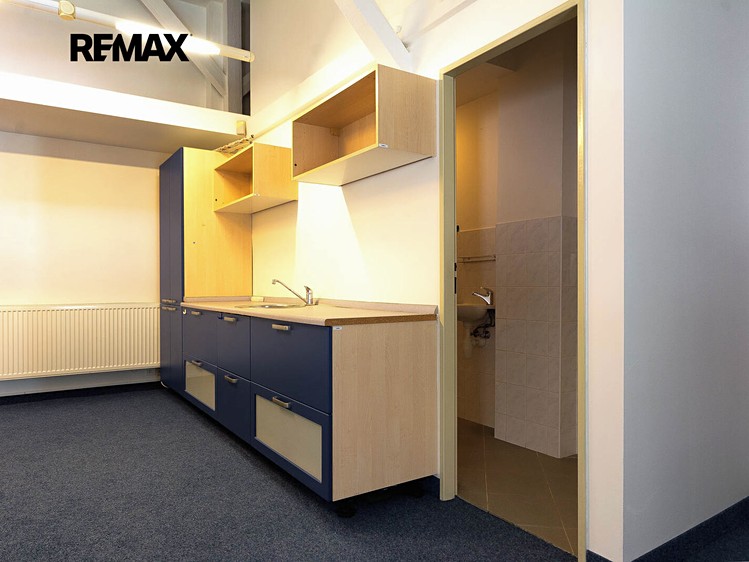 Pronájem komerčního prostoru, 206 m² (5 z 8)